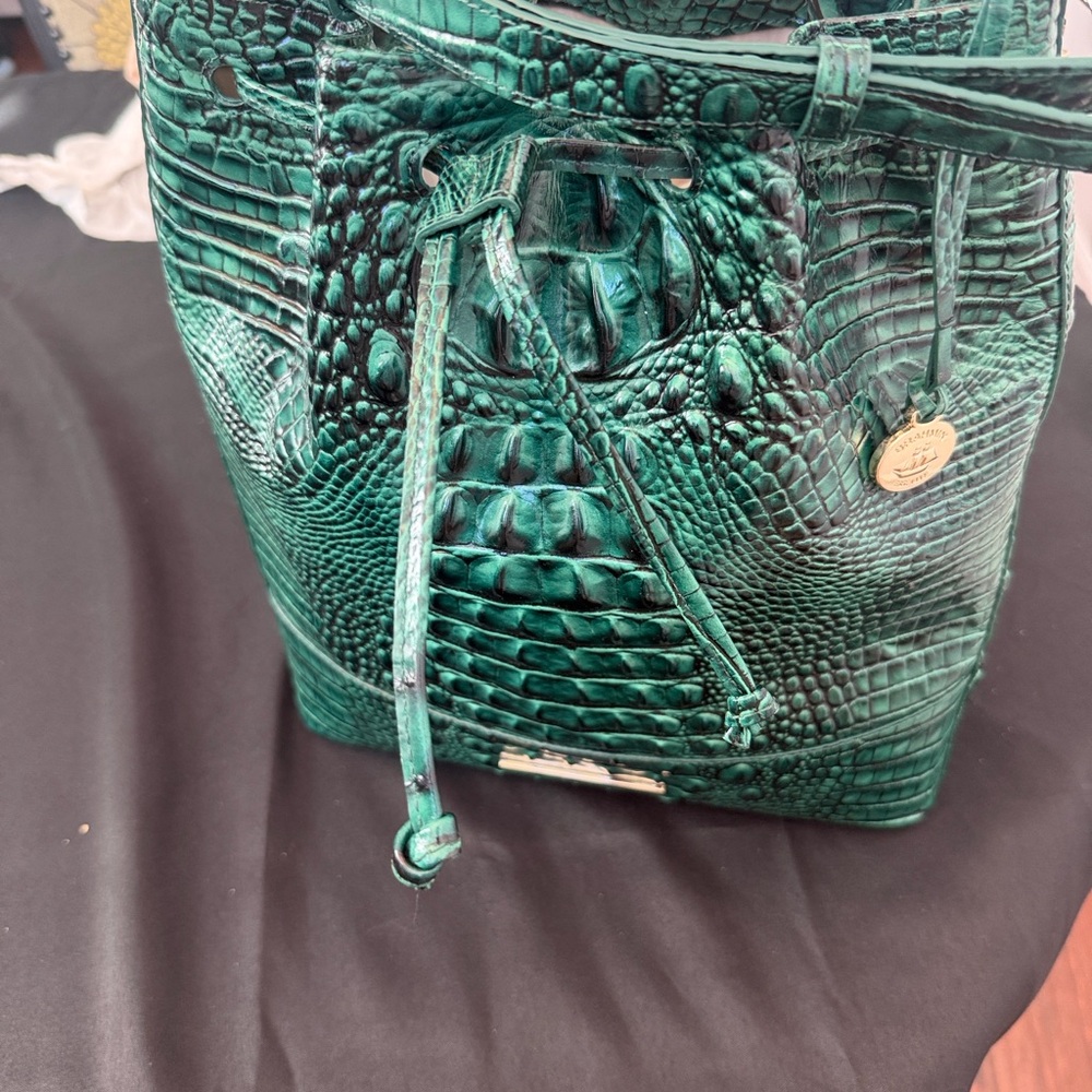 Brahmin Emerald Melbourne Crocodile-Embossed Shoulder Bag in Marlowe - Picture 4 of 14